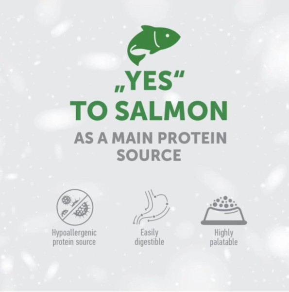 Nature's Protection Red Coat Junior Mini Salmon - Суха храна без зърно за малки породи кученца с червена козина, със сьомга и крил